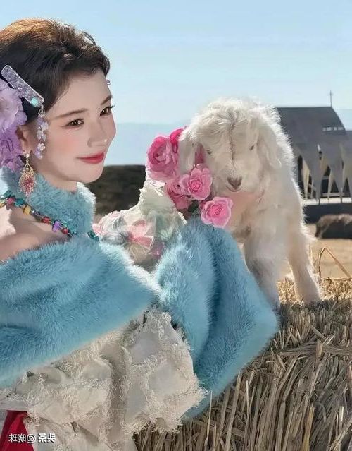 202602211771638808153384.jpg 10314.jpg