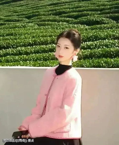 10306.jpg